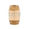 Valvola di Ritegno Europa Diam. 1"1/2