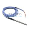 Sonda Acqua Thermorossi PT100 per H2O-COMPACT | 60010695