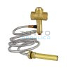 Valvola di Scarico Termico ICMA FF.3/4"