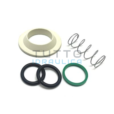 Kit Guarnizioni + Molla per Batteria CATIS
