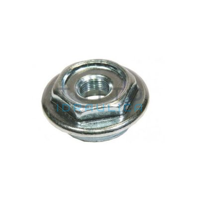 Tappo per Radiatore in Ghisa FL.56 Diam. 1"1/4 x 3/8" SX